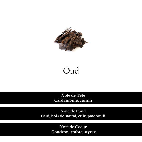 composition parfum oud